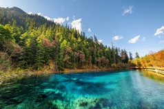 秋天树林中有蔚蓝水的五色泳池