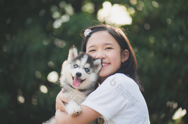 美丽的亚洲女孩和巴勒斯坦权力机构的西伯利亚哈士奇犬小狗一起玩