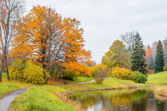 在湖森林景观秋季景观反映了