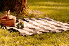 野餐毯子和篮子