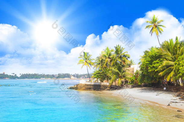 美丽的景色斯里兰卡海滩上阳光灿烂的日子