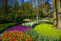 春天正式的花园。美丽的花园，五颜六色的小花