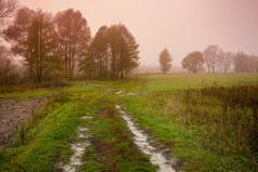 田野里的土路。乡村的晨雾.