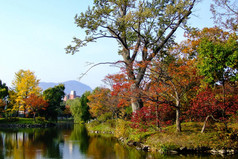 秋天的湖畔五颜六色的树叶和树木, 蓝色的天空和白云.