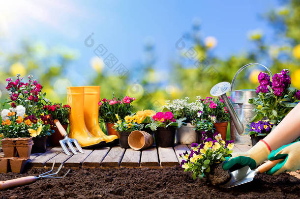 园艺-园丁种植花与花盆和工具
