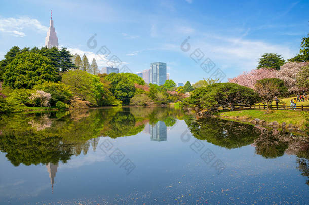新宿 Gyoen 与樱桃花的景观