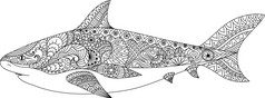 鲨鱼线艺术设计为着色书为成人、 纹身、 t 恤设计和其他装饰品