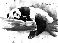 水彩绘画的黑色和白色熊猫