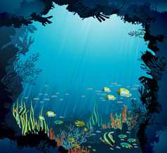 水下生活-珊瑚和鱼
