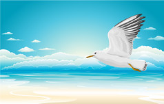 在海滩上飞海鸥