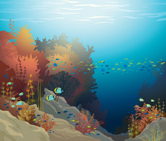 珊瑚礁。水下海洋图.