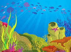 彩色的珊瑚和鱼类的学校