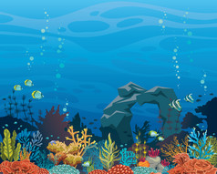 珊瑚礁鱼与拱。水下的海.