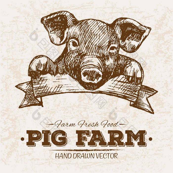 手绘素描牛排肉类产品集香肠和腊肠猪农场食