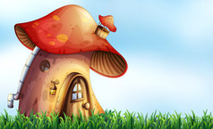 蘑菇；蘑菇