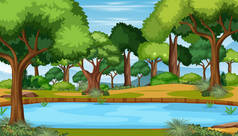 森林景观图上有池塘的自然景观