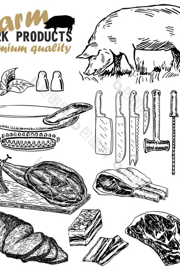 矢量手绘与肉类产品插图猪肉厨房工具素描复