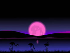 一幅明亮的粉红色的月亮, 山脉, 火烈鸟的剪影, 黑草和暗水的黄昏场景的插图