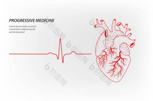 作为标语、小册子、<strong>名片</strong>和网站的渐进式医学模式，<strong>健康</strong>的人的心脏在跳动。脉动负责生命的内部器官的脉动心脏病的治疗.