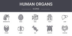 人体器官概念线图标设置。包含可用于web, logo, ui / ux的图标，如brain, tooth, thyroid, dna, skeleton, intestinal, liver, vei