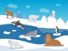 北极景观与不同的极地动物
