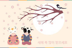 手绘2021年韩国农历新年图解，牛郎，女汉子，喜鹊，花，太阳，韩文祝新年快乐。平面风格的设计。度假卡的概念 