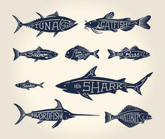复古插图: 鱼与名称