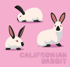 加州兔漫画图解