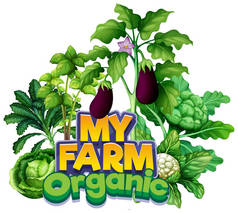 用不同种类的蔬菜来说明我的农场的字体设计