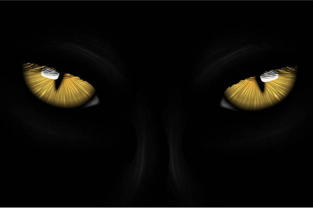 黄色的眼睛黑豹 