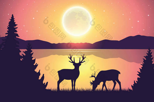 两只驯鹿在湖边，<strong>晚上</strong>满月和星空自然景观