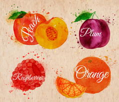 水果水彩桃、 树莓、 李子、 橙色的卡夫