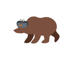 俄罗斯熊皮帽。俄罗斯国家级保护野生动物