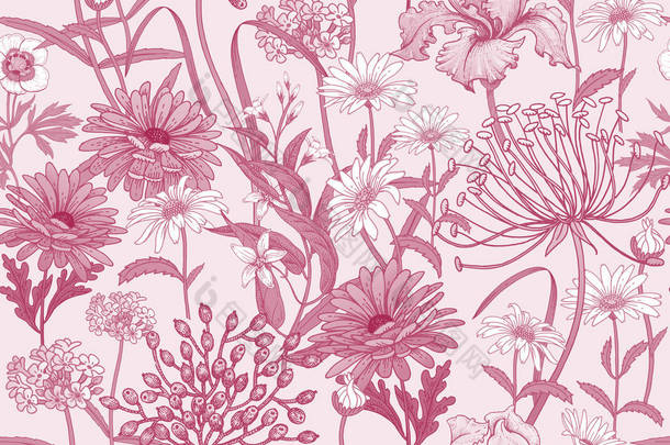 野花。无缝的夏季图案与洋甘菊, 浆果, 草药, 铃铛, 虹膜。花卉背景, 用于墙纸、纸张、纺织品、织物的印刷。手绘草图。时尚例证.