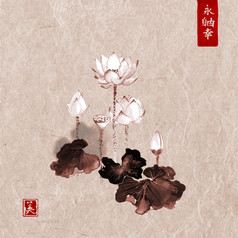 莲花手绘