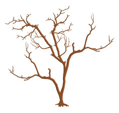 孤立的死树枝