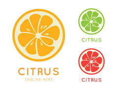 各种柑橘类时尚图标。多汁水果标志