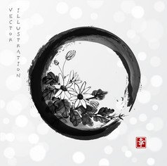 菊花在 enso 禅圆