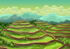 稻田梯田景观.亚洲农村背景。农业收获谷物或茶