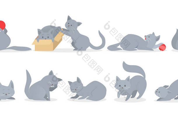 一组不同位置的可爱灰猫。 滑稽猫咪摆姿势、玩耍、睡觉.