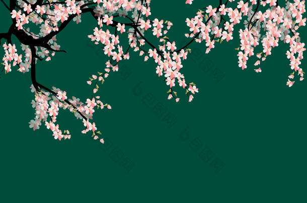 水彩樱花框架。背景有樱花树枝。手绘日本花卉背景