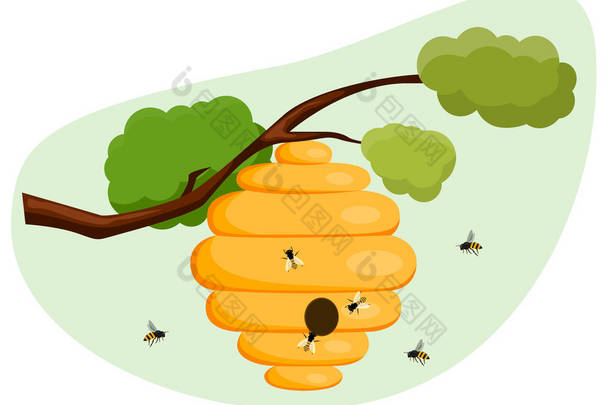 挂在树上的<strong>蜂巢</strong>