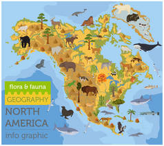 北美洲植物群和动物区系图, 扁平元素。动物、鸟类