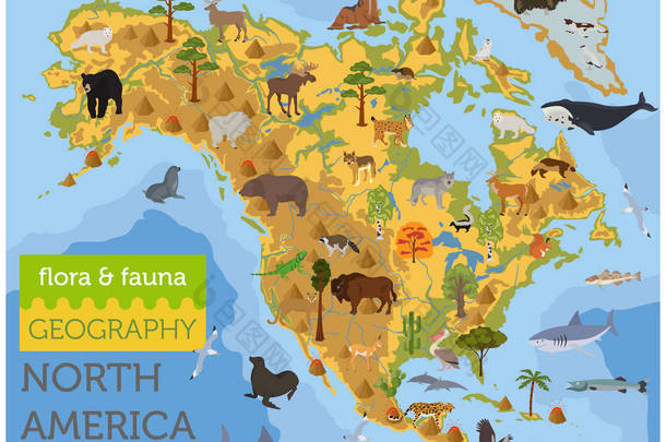 北美洲植物群和动物区系图, 扁平元素。动物、鸟类