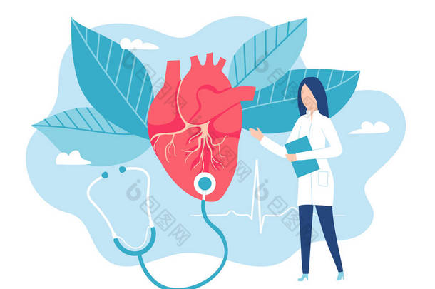心脏病医生听着心跳. 健康的心脏。 心脏科