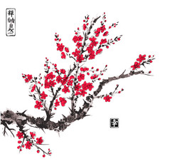 东方樱花樱花树 