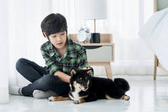 一个男孩在一个公寓的卧室里和一个叫Shiba Inu的人玩耍。男孩和黑芝麻狗.