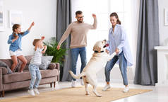 全身上下都是快乐有趣的家庭：父母和小孩带着可爱纯正的拉布拉多猎犬在客厅里玩乐跳舞