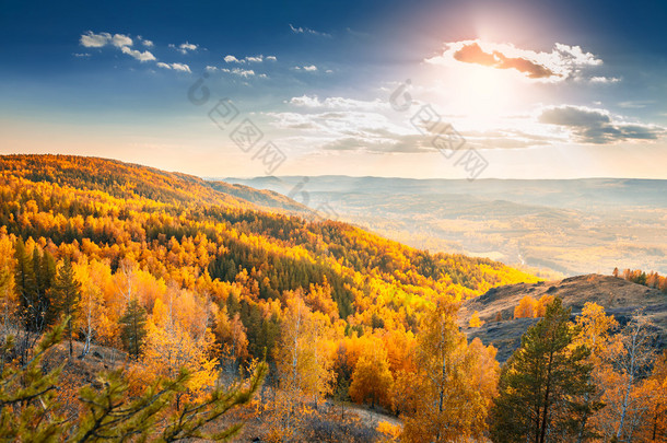 秋天的树林，在山的美丽景色