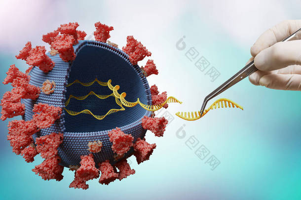 科学家正在实验室对病毒RNA中的基因进行修饰。生物学和病毒遗传学概念.